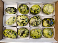 Polished Leopard Stone Free Forms x 12 From Zimbabwe