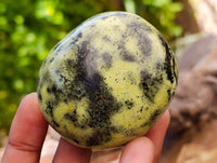 Polished Leopard Stone Free Forms x 12 From Zimbabwe