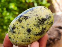 Polished Leopard Stone Free Forms x 12 From Zimbabwe