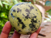 Polished Leopard Stone Free Forms x 12 From Zimbabwe