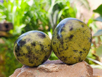 Polished Leopard Stone Free Forms x 12 From Zimbabwe