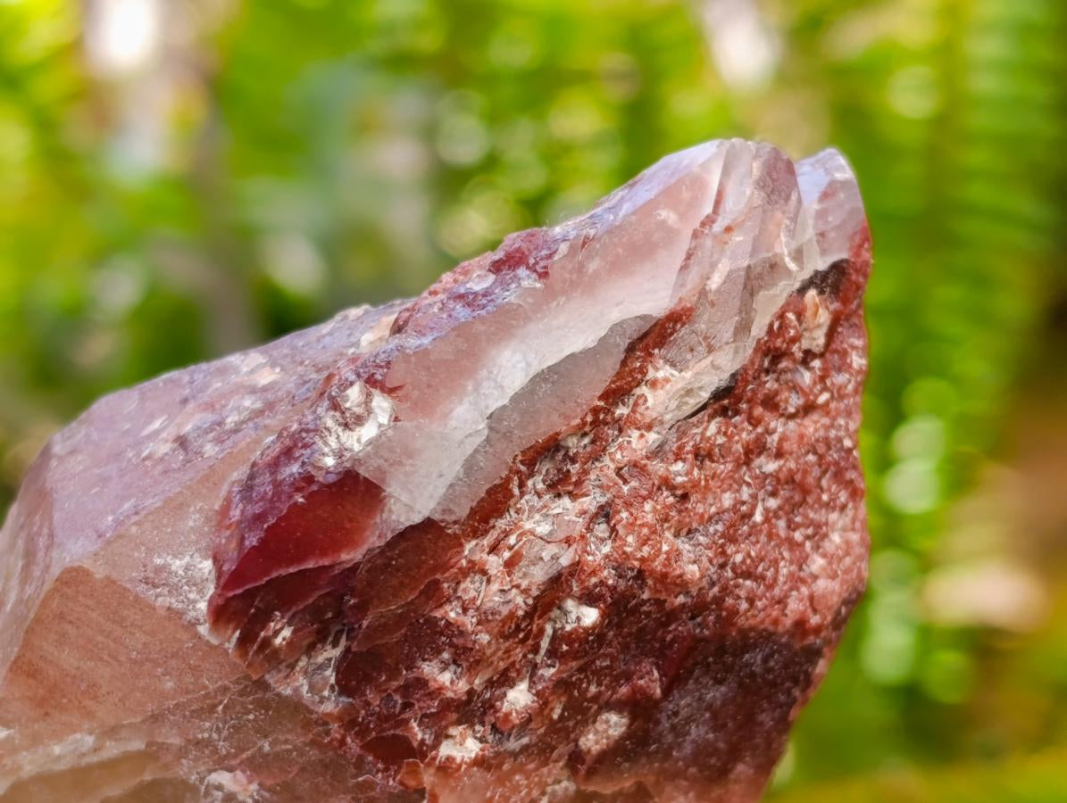Natural Red Hematoid Quartz Crystals x 5 From Karoi, Zimbabwe