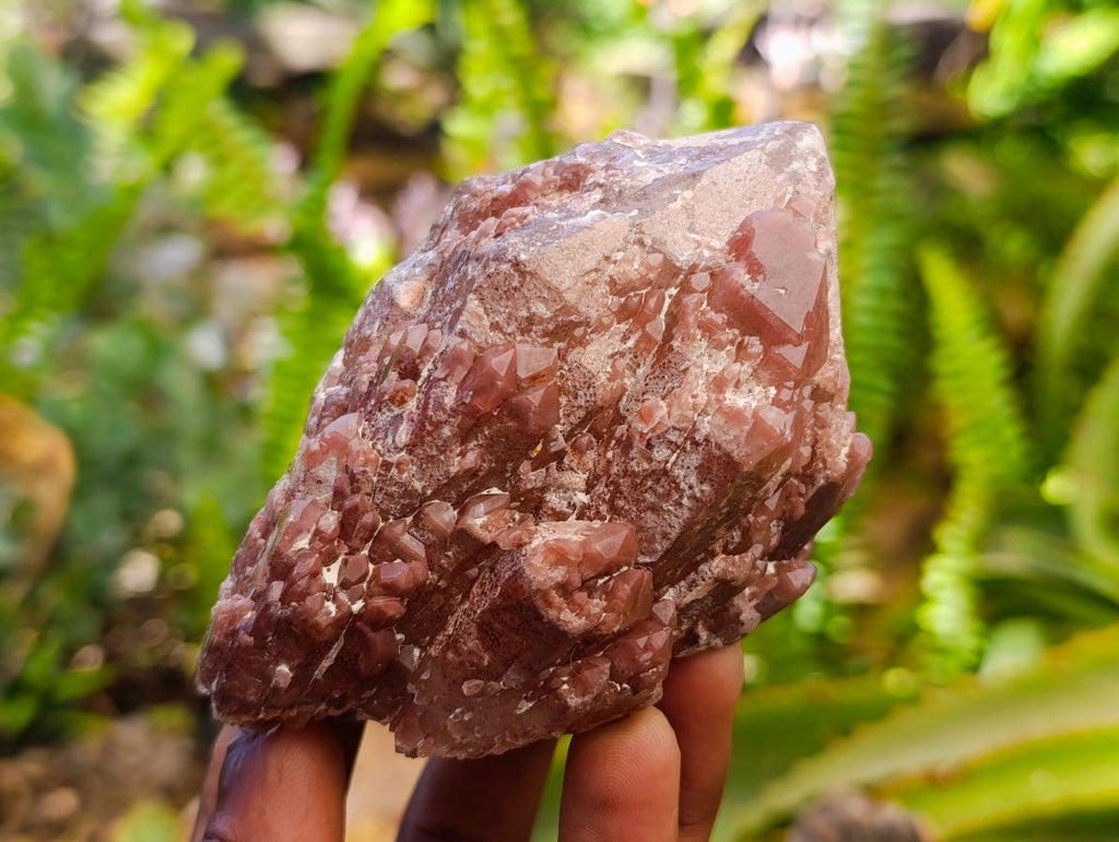 Natural Red Hematoid Quartz Crystals x 5 From Karoi, Zimbabwe