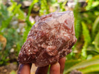 Natural Red Hematoid Quartz Crystals x 5 From Karoi, Zimbabwe