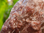 Natural Red Hematoid Quartz Crystals x 5 From Karoi, Zimbabwe