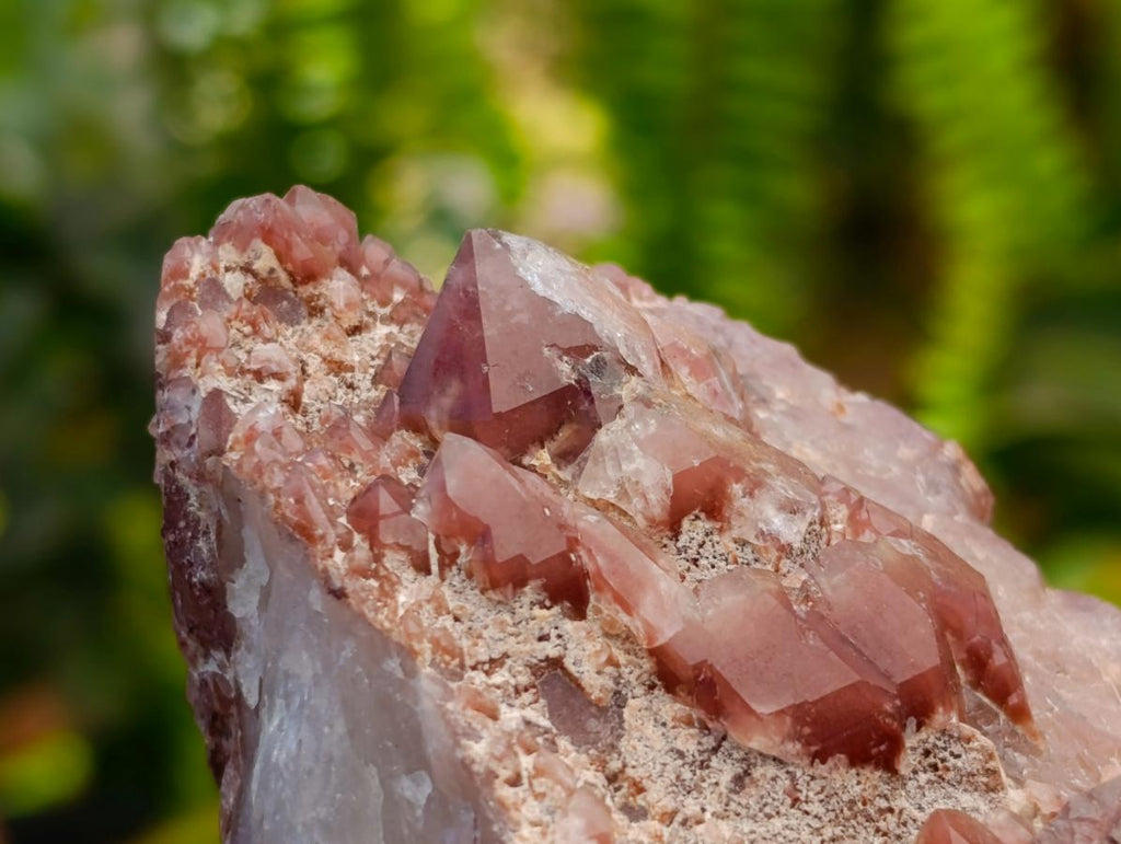 Natural Red Hematoid Quartz Crystals x 5 From Karoi, Zimbabwe