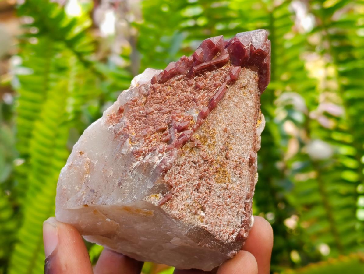 Natural Red Hematoid Quartz Crystals x 5 From Karoi, Zimbabwe