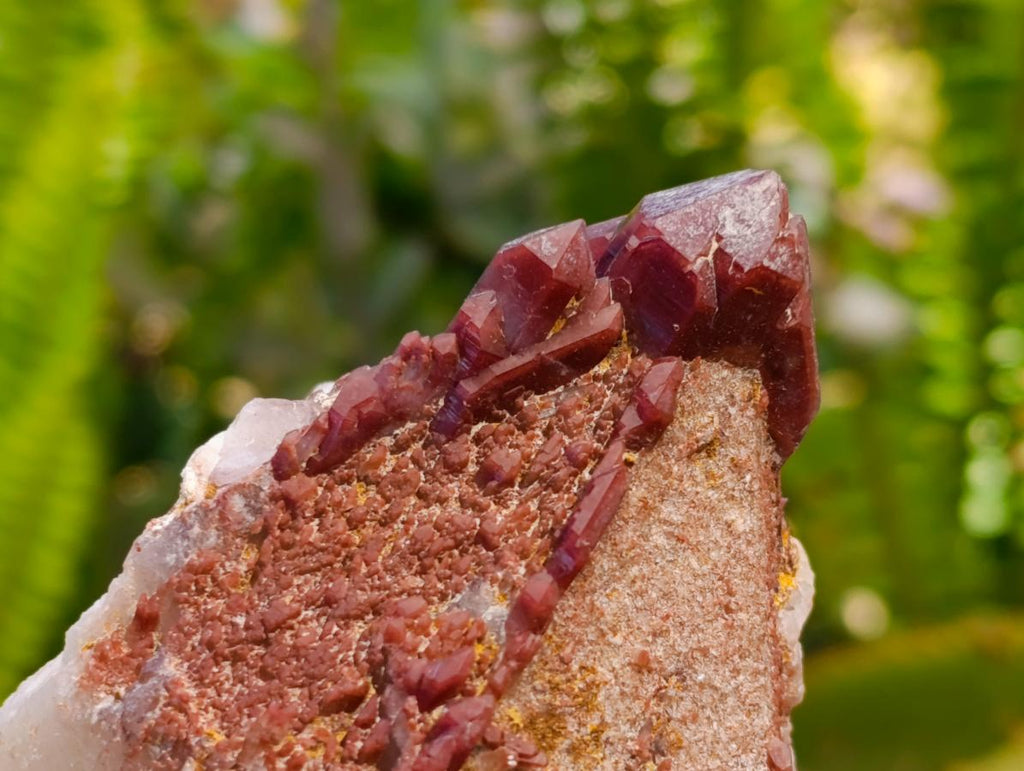Natural Red Hematoid Quartz Crystals x 5 From Karoi, Zimbabwe
