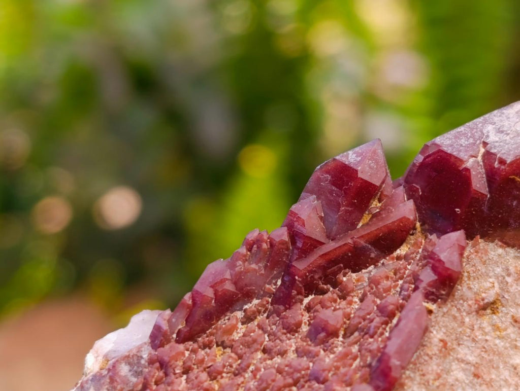 Natural Red Hematoid Quartz Crystals x 5 From Karoi, Zimbabwe