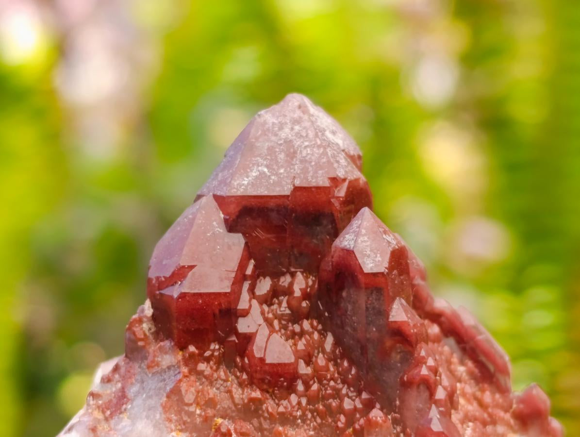 Natural Red Hematoid Quartz Crystals x 5 From Karoi, Zimbabwe