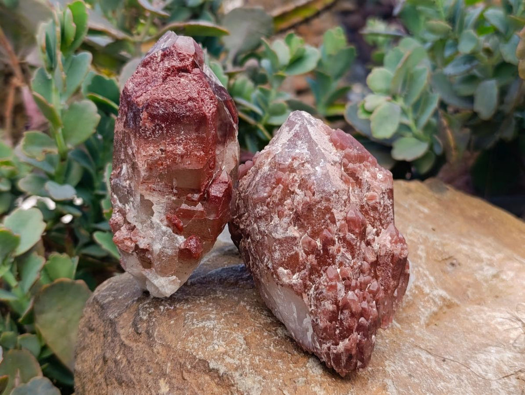 Natural Red Hematoid Quartz Crystals x 5 From Karoi, Zimbabwe