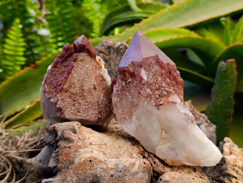 Natural Red Hematoid Quartz Crystals x 5 From Karoi, Zimbabwe