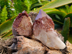 Natural Red Hematoid Quartz Crystals x 5 From Karoi, Zimbabwe