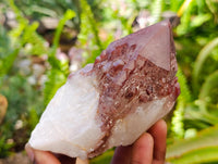 Natural Red Hematoid Quartz Crystals x 5 From Karoi, Zimbabwe