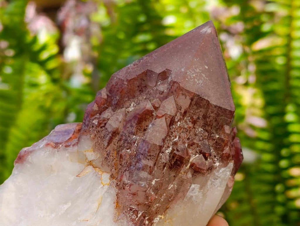 Natural Red Hematoid Quartz Crystals x 5 From Karoi, Zimbabwe