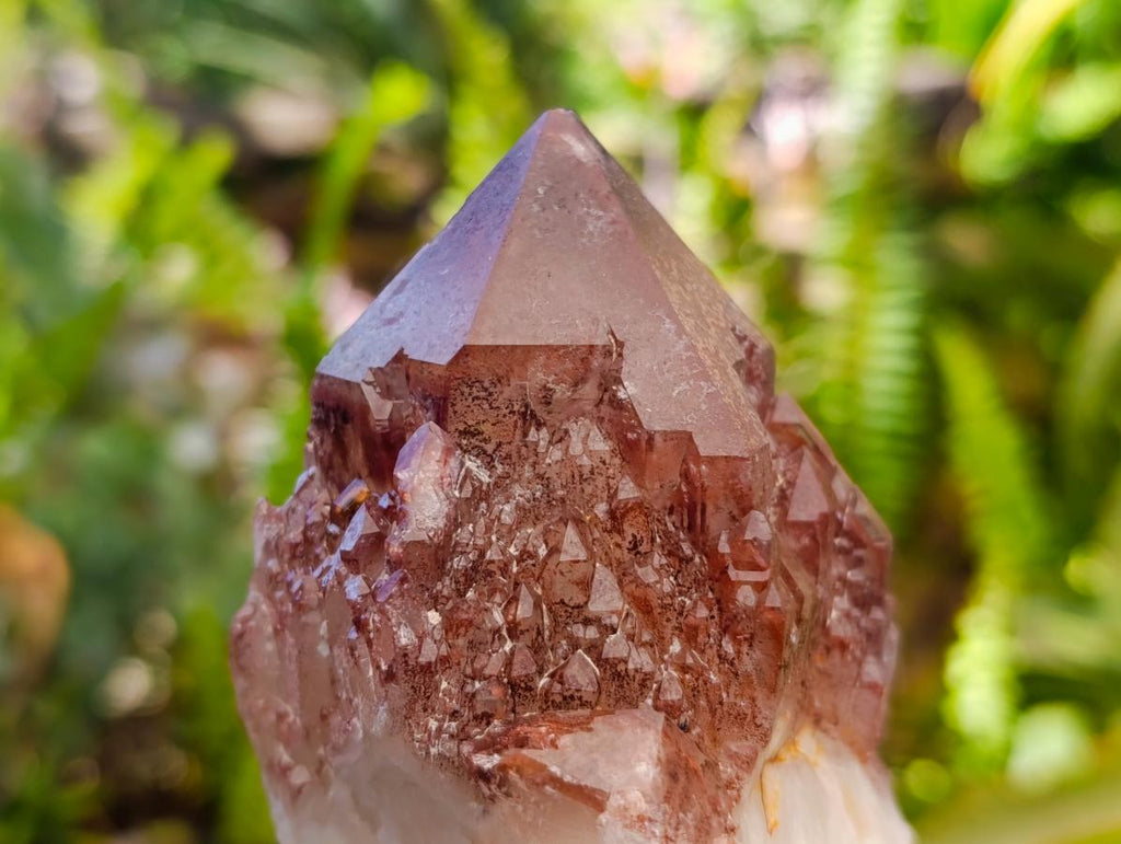 Natural Red Hematoid Quartz Crystals x 5 From Karoi, Zimbabwe