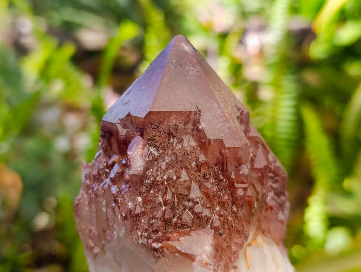 Natural Red Hematoid Quartz Crystals x 5 From Karoi, Zimbabwe
