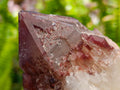 Natural Red Hematoid Quartz Crystals x 5 From Karoi, Zimbabwe