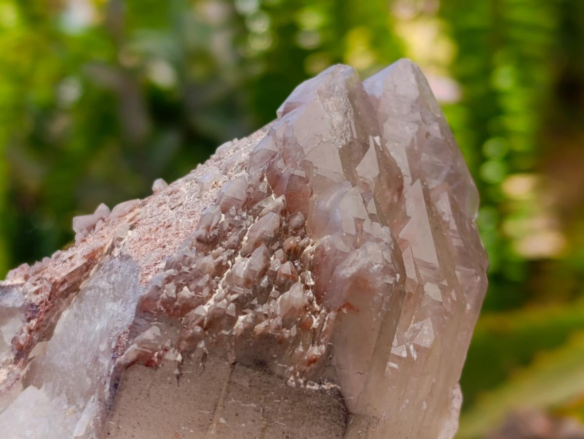 Natural Red Hematoid Quartz Crystals x 5 From Karoi, Zimbabwe