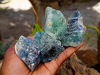 Natural Watermelon Fluorite Cobbed Specimens x 32 From Uis, Namibia