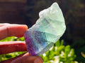 Natural Watermelon Fluorite Cobbed Specimens x 32 From Uis, Namibia