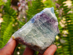 Natural Watermelon Fluorite Cobbed Specimens x 32 From Uis, Namibia