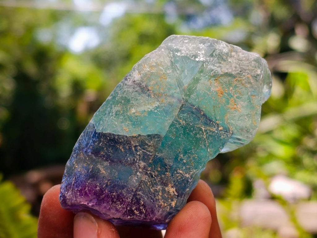 Natural Watermelon Fluorite Cobbed Specimens x 32 From Uis, Namibia