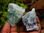Natural Watermelon Fluorite Cobbed Specimens x 32 From Uis, Namibia