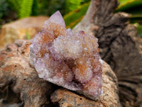 Natural Sunburst Ametrine Spirit Clusters x 6 From Boekenhouthoek, South Africa
