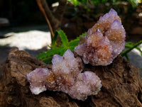 Natural Sunburst Ametrine Spirit Clusters x 6 From Boekenhouthoek, South Africa