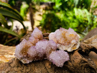 Natural Sunburst Ametrine Spirit Clusters x 6 From Boekenhouthoek, South Africa