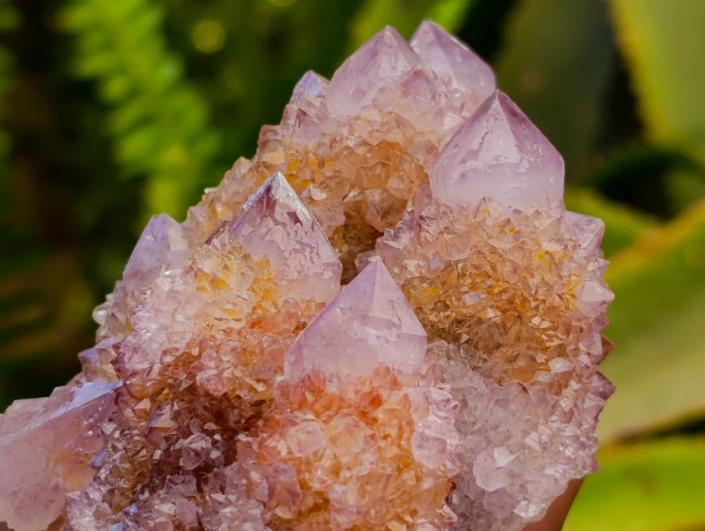 Natural Sunburst Ametrine Spirit Clusters x 6 From Boekenhouthoek, South Africa