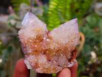 Natural Sunburst Ametrine Spirit Clusters x 6 From Boekenhouthoek, South Africa