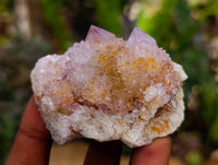 Natural Sunburst Ametrine Spirit Clusters x 6 From Boekenhouthoek, South Africa