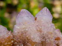 Natural Sunburst Ametrine Spirit Clusters x 6 From Boekenhouthoek, South Africa