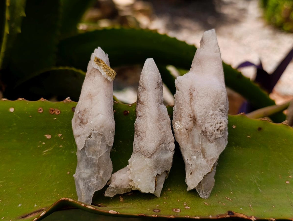 Natural Drusy Quartz Coated Spearhead Calcite Specimens x 35 From Albert's Mountain, Lesotho