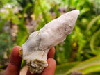 Natural Drusy Quartz Coated Spearhead Calcite Specimens x 35 From Albert's Mountain, Lesotho