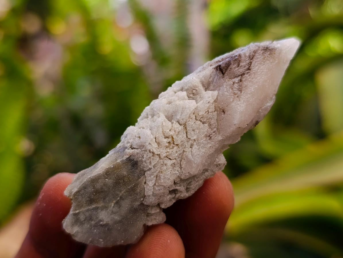 Natural Drusy Quartz Coated Spearhead Calcite Specimens x 35 From Albert's Mountain, Lesotho