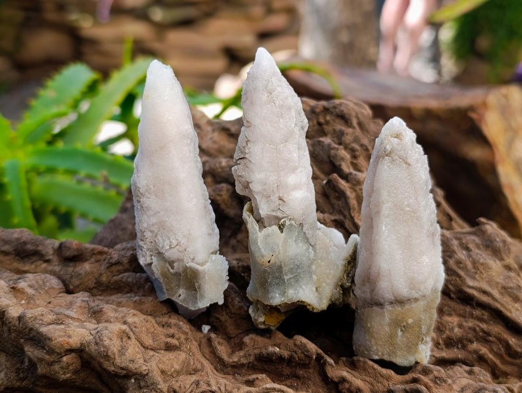 Natural Drusy Quartz Coated Spearhead Calcite Specimens x 35 From Albert's Mountain, Lesotho