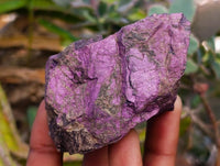 Natural Metallic Cobbed Purpurite Specimens x 6 From Erongo, Namibia