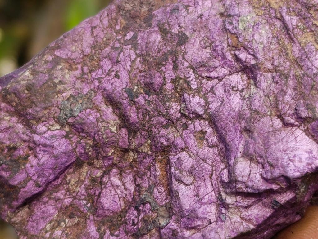 Natural Metallic Cobbed Purpurite Specimens x 6 From Erongo, Namibia