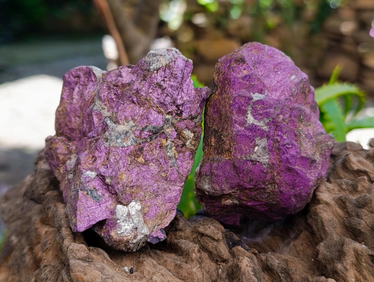Natural Metallic Cobbed Purpurite Specimens x 6 From Erongo, Namibia