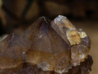 Natural Clear Smokey Citrine Quartz Cluster x 1 From Luena, Congo