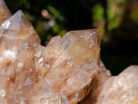 Natural Clear Smokey Citrine Quartz Cluster x 1 From Luena, Congo