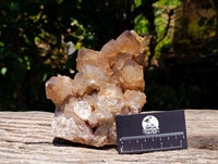 Natural Clear Smokey Citrine Quartz Cluster x 1 From Luena, Congo