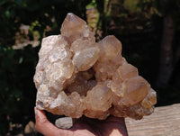 Natural Clear Smokey Citrine Quartz Cluster x 1 From Luena, Congo
