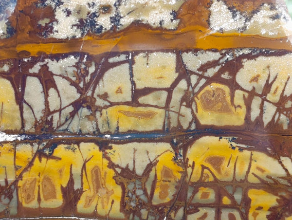 Polished On One Side Nguni Jasper Slices x 2 From Northern Cape, South Africa