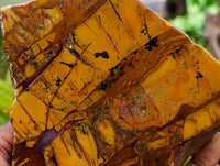 Polished On One Side Nguni Jasper Slices x 2 From Northern Cape, South Africa