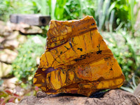 Polished On One Side Nguni Jasper Slices x 2 From Northern Cape, South Africa