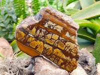 Polished On One Side Nguni Jasper Slices x 2 From Northern Cape, South Africa
